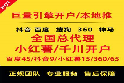 某公司通过百度竞价实现业务快速增长的案例